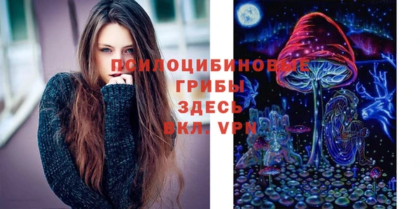 бошки Балахна