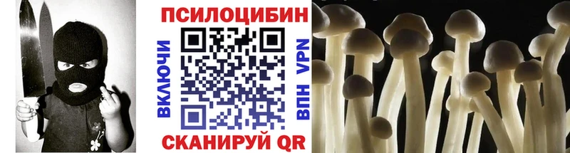 Псилоцибиновые грибы Psilocybine cubensis где можно купить Сатка